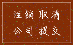 武昌公司注销流程