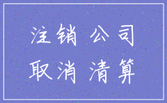 广西巴马有办理注销公司手续的吗