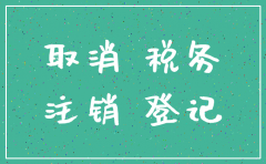 公司注销应向税务提供什么资料