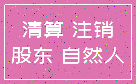 清算 注销_股东 自然人