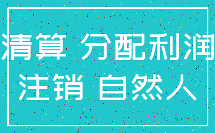 清算 分配利润_注销 自然人