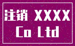 简易公司注销股东会决议