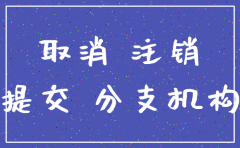 内资分公司注销登记