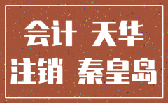 秦皇岛公司注销臻茹 会计服务