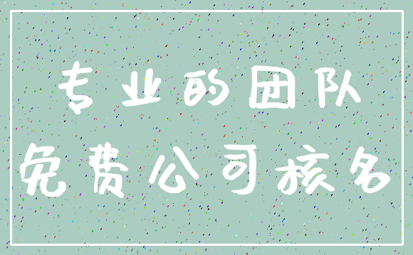 专业的团队_免费公司核名