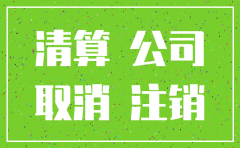 公司注销 注册资本 会计处理