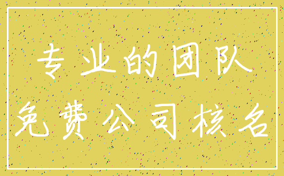 专业的团队_免费公司核名