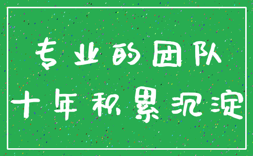 专业的团队_十年积累沉淀
