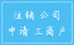 像上级申请注销公司的申请