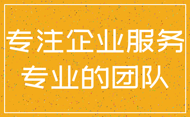专注企业服务_专业的团队