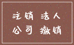 i法人意外死亡 公司注销