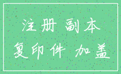 分公司 注销 再次注册吗