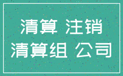 如何确定公司是否注销完