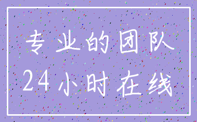 专业的团队_24小时在线