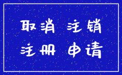新注册的公司怎样简易注销