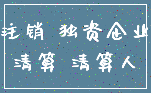 注销 独资企业_清算 清算人