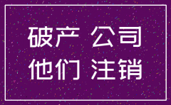 注销海外的子公司流程