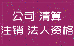 法人抽资能注销公司吗