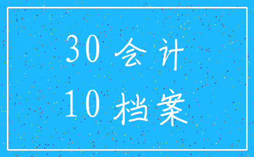30 会计_10 档案