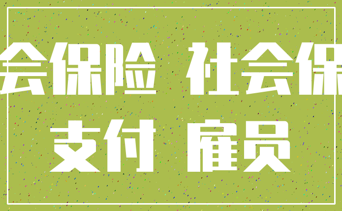 社会保险 社会保障_支付 雇员