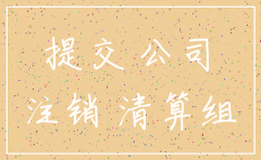 公司税局注销所需资料
