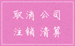成都分公司营业执照注销