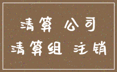 注销公司成立清算小组的申请