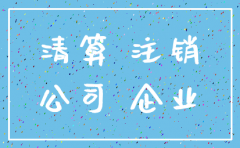 独资公司注销清算证明模板