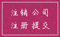 惠州大亚湾分公司注销流程