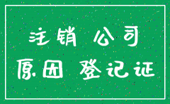 有限责任公司注销原因怎么填写