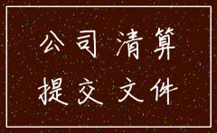 公司水表注销材料