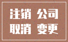 深圳公司注销专业机构