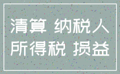公司注销期间清算所得申报表