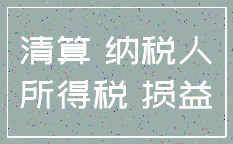 清算 纳税人_所得税 损益