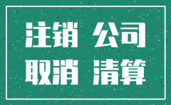 电子科技公司注销