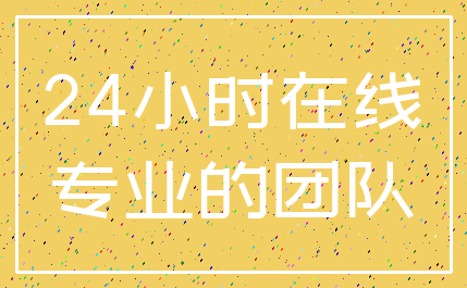 24小时在线_专业的团队