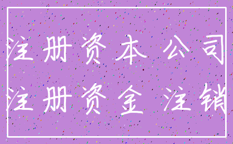 注册资本 公司_注册资金 注销