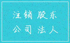 独自人公司注销