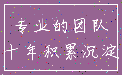 专业的团队_十年积累沉淀