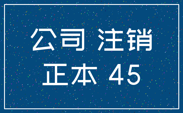 公司 注销_正本 45