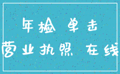 河南省网上注销分公司营业执照流程图