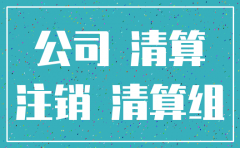 刚注册的公司可以注销吗有费用吗
