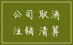 国外分公司如何注销