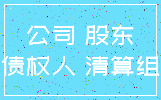 公司 股东_债权人 清算组