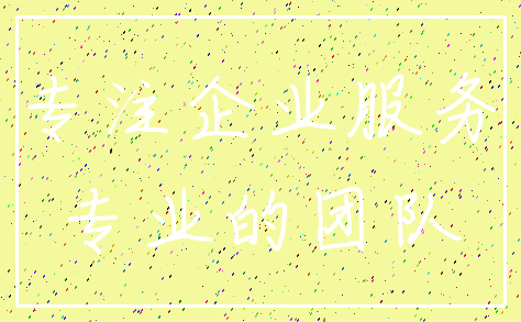 专注企业服务_专业的团队
