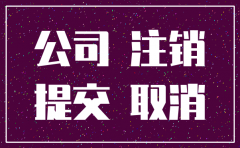 背调前公司注销