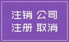 分公司不开银行账户注销