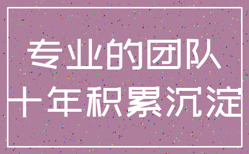 专业的团队_十年积累沉淀