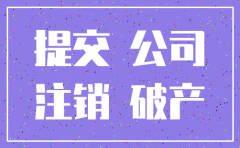 广州公司注销承接