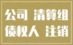 公司注销可以查往来吗